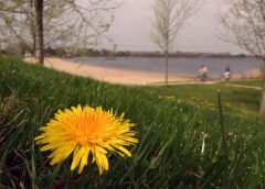 Kringloop Stedendreef in Almere