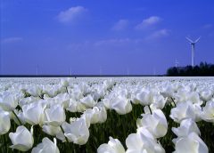 Kringloop Familie in Almere